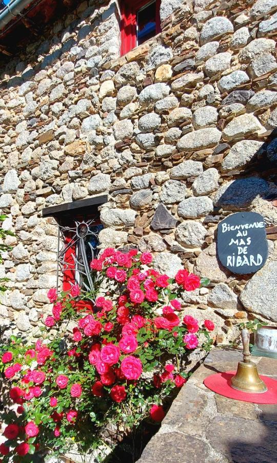 Le Mas De Ribard Bréau-et-Salagosse Exteriör bild